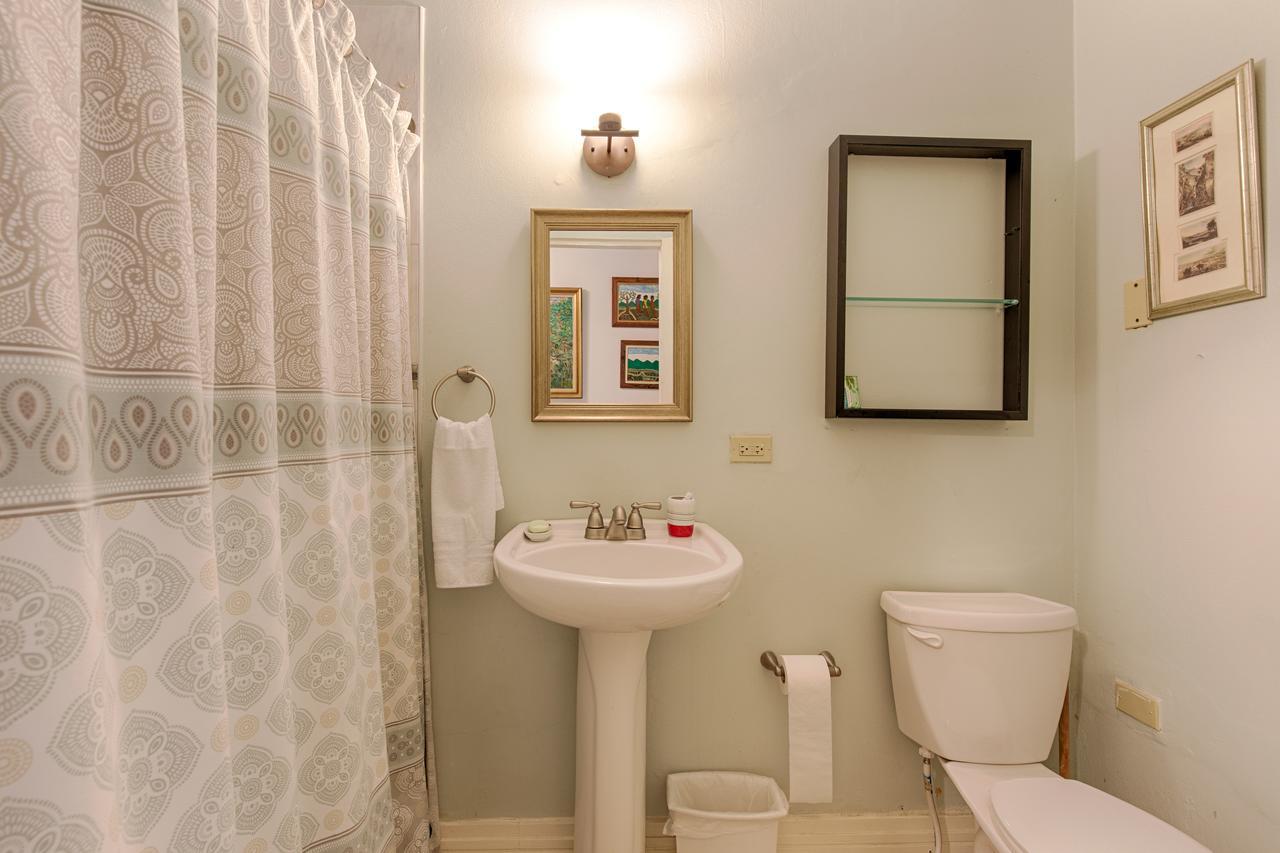 Chester Avenue Guest House Kingston Bagian luar foto