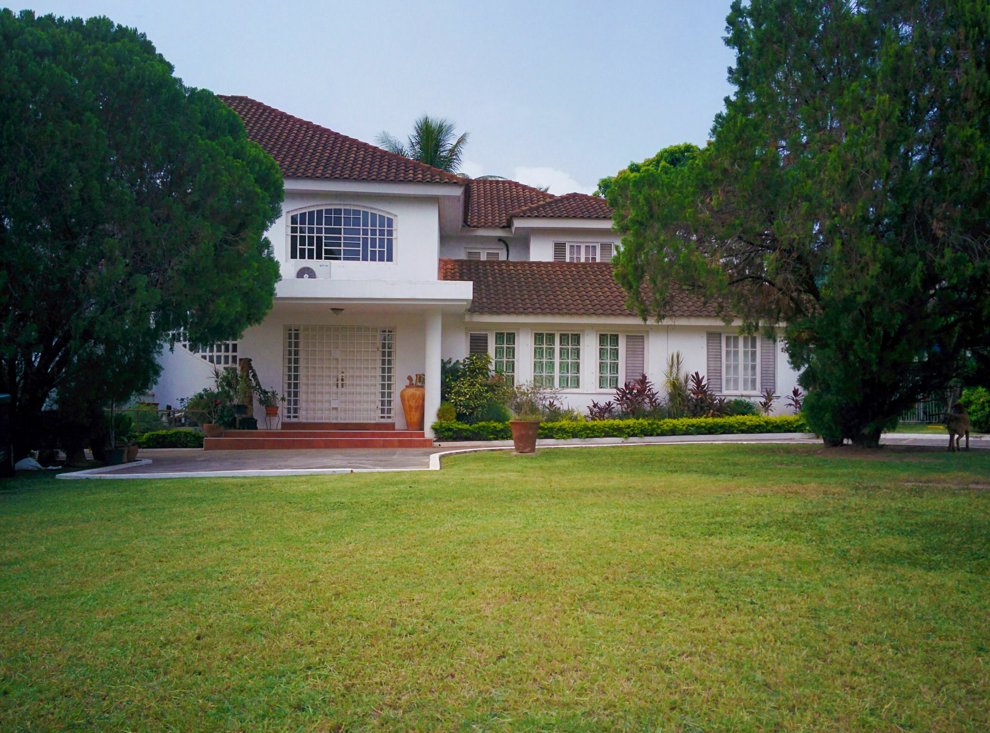 Chester Avenue Guest House Kingston Bagian luar foto