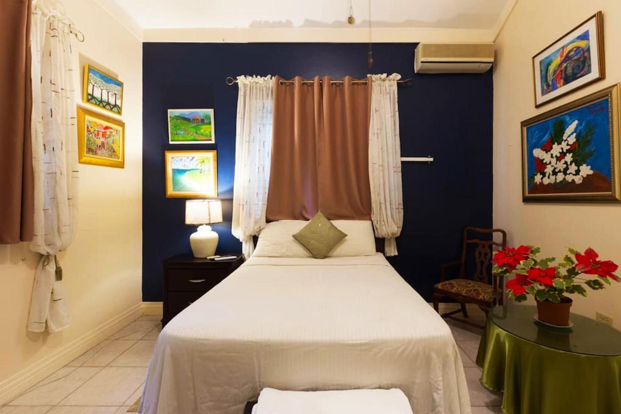 Chester Avenue Guest House Kingston Bagian luar foto